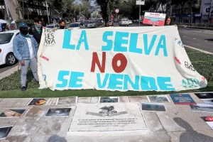 La Selva no se vende © Greenpeace