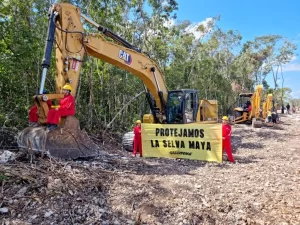 La Selva no se vende © Greenpeace